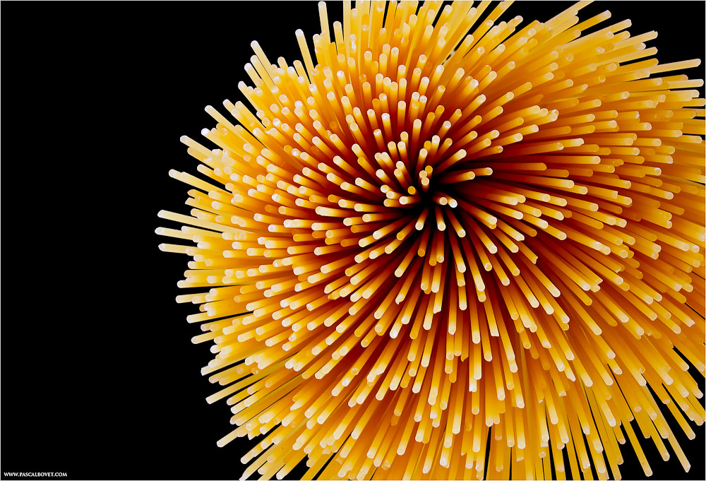 Chimica della Pastasciutta: Scopri la Scienza dietro la Preparazione della Pasta e del Sugo