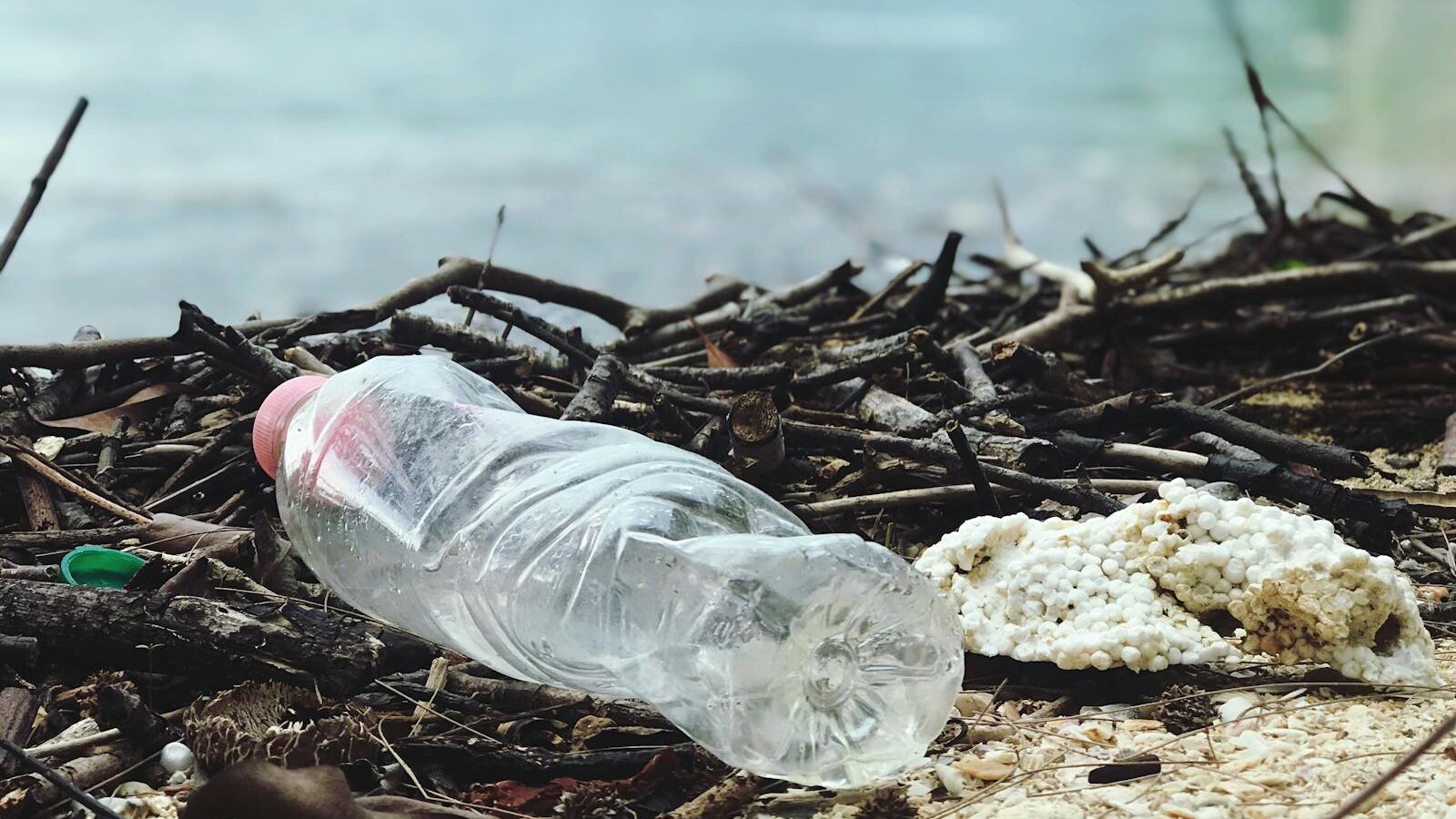 Plastica negli Oceani: Il Mare di Problemi che Stiamo Creando 10 Plastica negli Oceani