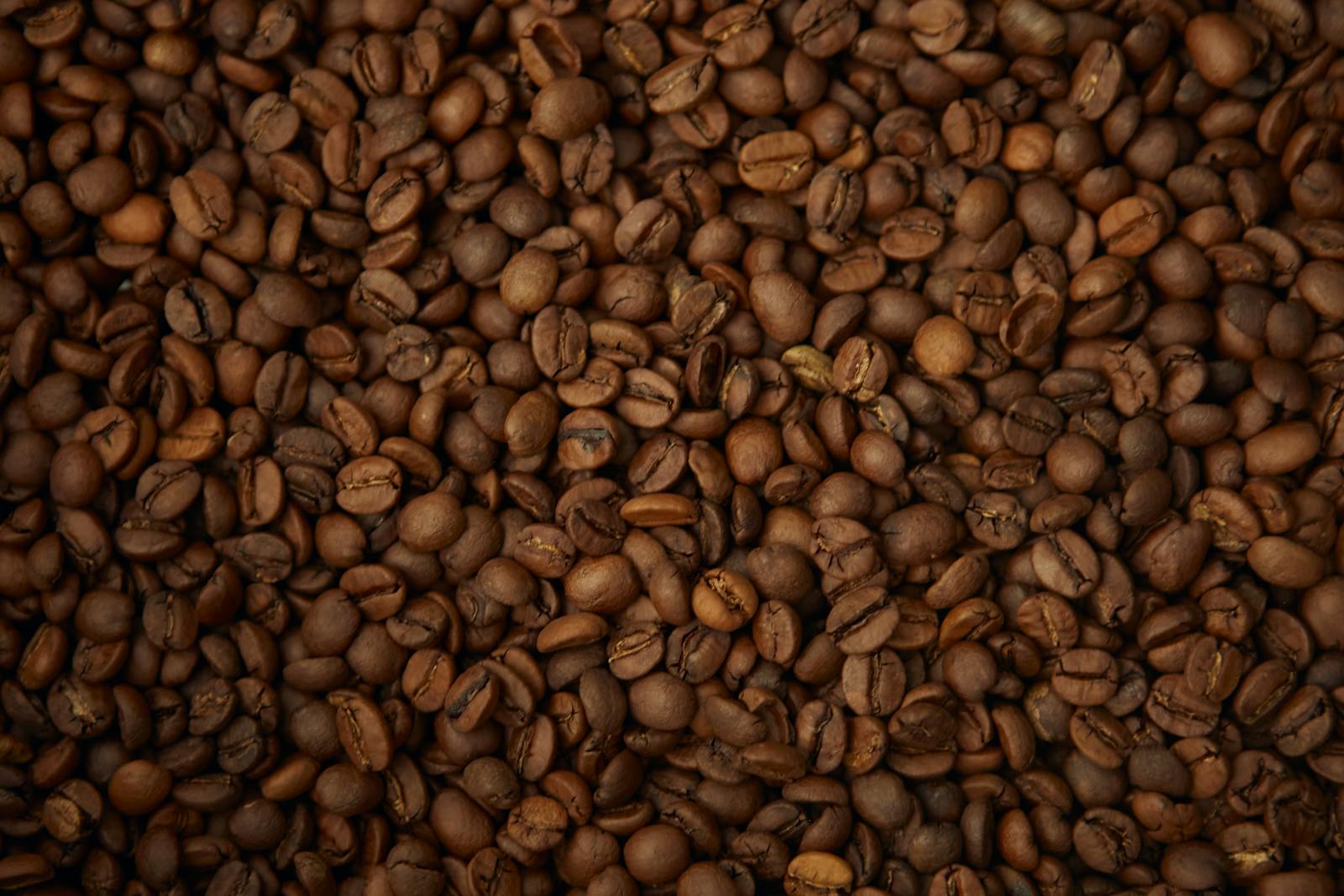 Termodinamica del Caffè