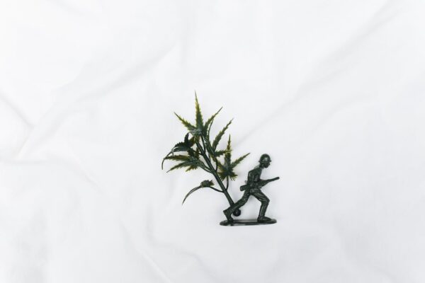 Geografia e botanica: 2 insospettabili alleate in guerra